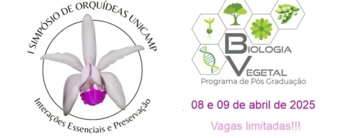 Banner de divulgação I Simpósio de Orquídeas UNICAMP: Interações Essenciais e Preservação