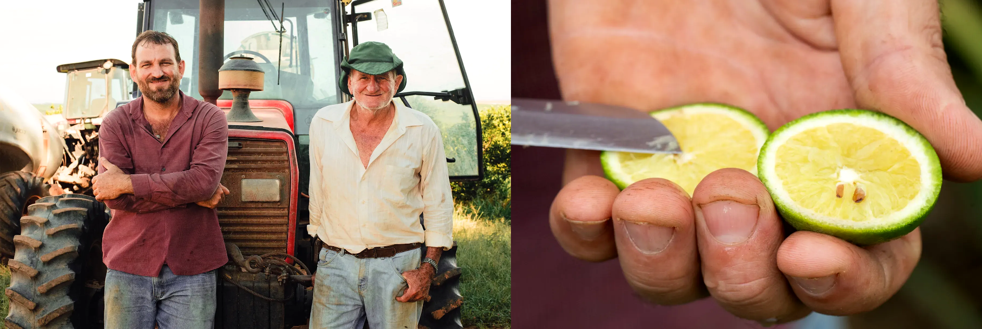 Imagem de agricultura