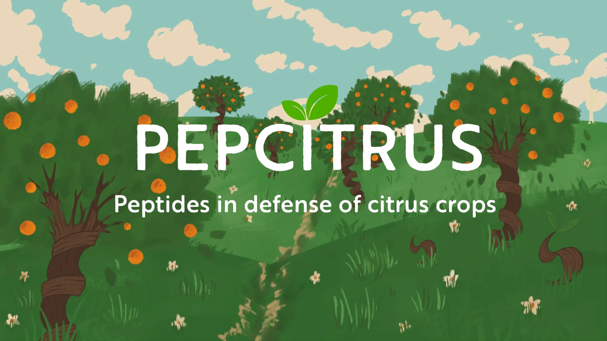 Trecho do video de apresentação do projeto que também foi contemplado.