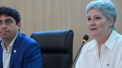 imagens do evento dialogos com a capes platéia e mesa